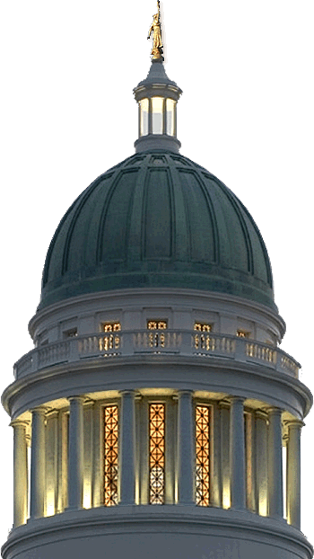 Government Strategies Legislative Advocacy & Lobbying